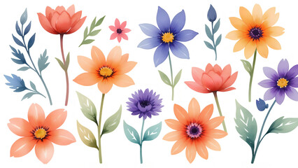colorful flowers in water color isolated on background