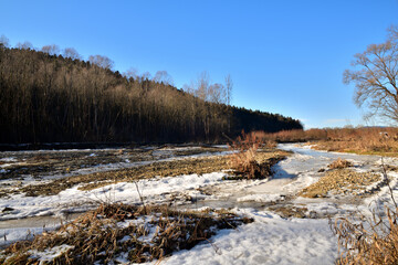 Eye view from below on a frozen river in winter flowing in the middle of the forest