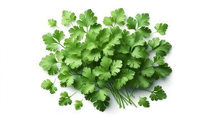 Obraz premium coriander leaves - Generative AI