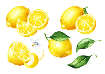 Fresh Lemon fruit set, with zest and green leaves. Hand drawn watercolor illustration isolated on white background