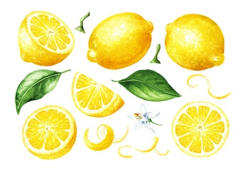 Fresh Lemon fruit set, whole and slices, with zest and green leaves. Hand drawn watercolor illustration isolated on white background © dariaustiugova