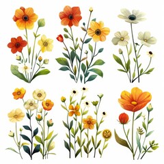 Fototapeta premium Collection of 2D and 3D Vector Flat Abstract Minimalistic Art of Flowers and Meadow Isolated on a White Background