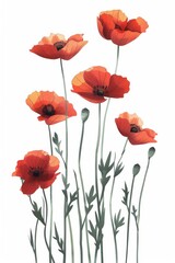 Collection of 2D and 3D Vector Flat Abstract Minimalistic Art of Flowers and Meadow Isolated on a White Background