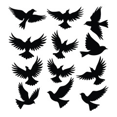 vector set flying bird silhouette