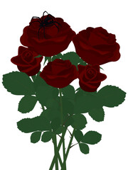 Red roses bouquet with black widow spider on rose petals illustration