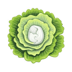 Fototapeta premium High-quality digital illustration of a fresh green cabbage with vibrant, detailed leaves, perfect for culinary and health-related designs.