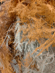 Beautiful dried flowers decoration in authentic interior background. Winter cozy mood. Selective focus