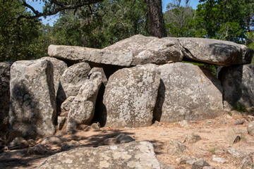 Romanya de la Selva dans le massif des Gavarres en Espagne