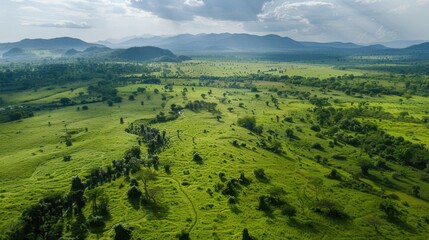 Obraz premium A large, open field with a few trees scattered throughout