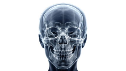 An X-ray image showing a detailed view of a human skull and head with anatomical features and medical details