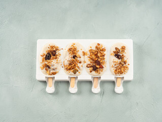Homemade greek yogurt icecream popsicles in silicone moulds