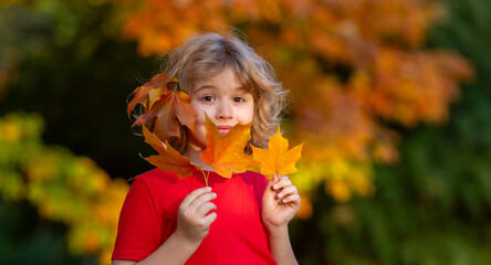 Autumn Kid Portrait In Fall Yellow Leaves, Little Child In Autumn fall park. Beautiful Kid in Park...