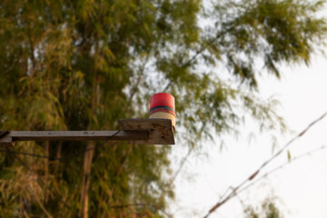 Red Warning Light Against a Green Foliage Background