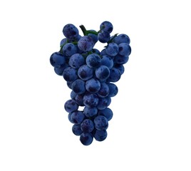 Black grapes isolated on white background