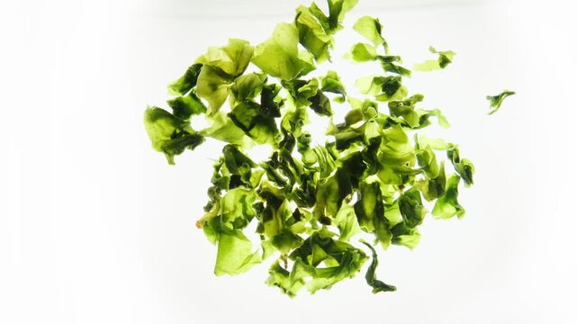 Close-up of wakame seaweed hydrating in water, white background and backlighting for japanese cuisine. Showing its transparency and green tones. F-Log2, 24P, MOVH.265 All-I 4:2:2 10bit 360Mbps.