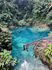 tropical island in the sea © hattaarshavin