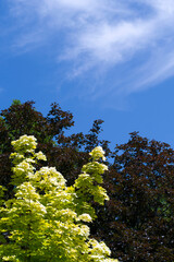 Odcienie zieleni 2024