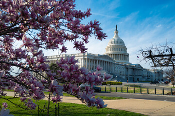 Capitol democracy in USA Washington DC, Capitol building USA. Supreme Court, Washington monument....
