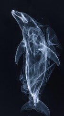 A dolphin is shown in a black and white photo with a white smokey effect