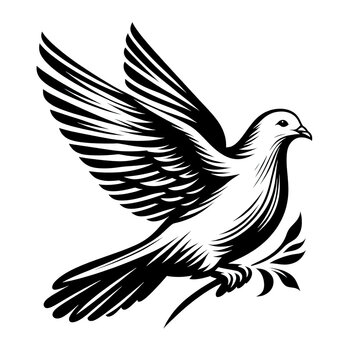 recommend clip art: a beautiful Dove black line stencil artwork isolated on white background PNG