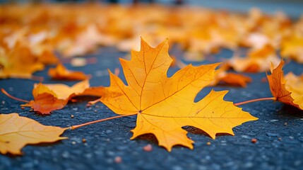 Autumn Floral Arrangements Celebrate Fall with Seasonal Blooms