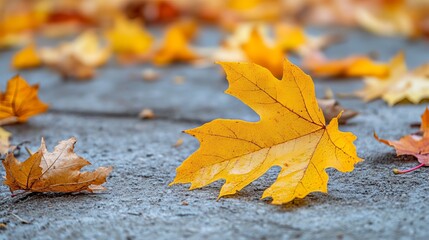 Gorgeous Autumn Floral Designs for Your Home Decor