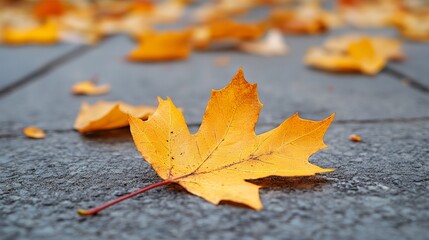 Gorgeous Autumn Floral Designs for Your Home Decor