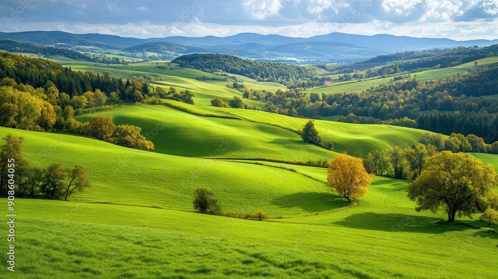 Canvas Prints Rolling Green Hills Landscape.