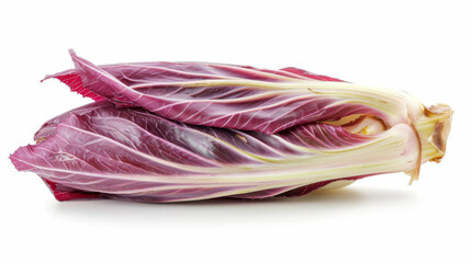 A whole chicory isolated on white