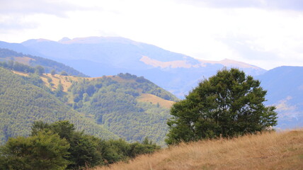 panorama of the mountains
