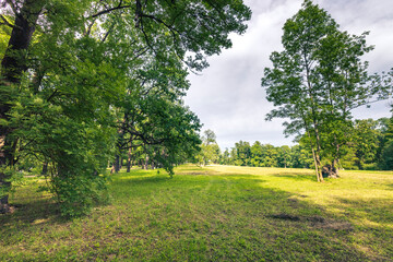 A field of grass with trees in the background