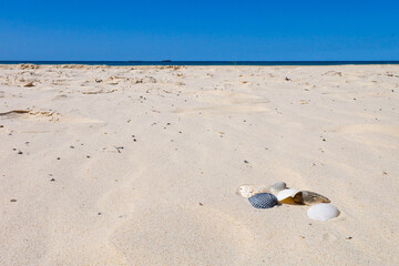 A beautiful sunny blue sky summer day at North Stradbroke island, Cleveland, Brisbane, Queensland, Australia 