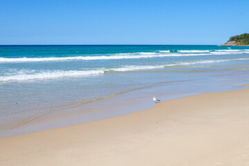 A beautiful sunny blue sky summer day at North Stradbroke island, Cleveland, Brisbane, Queensland, Australia