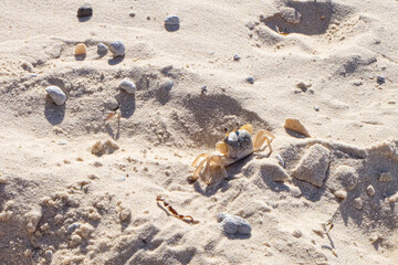A beautiful sunny blue sky summer day at North Stradbroke island, Cleveland, Brisbane, Queensland, Australia