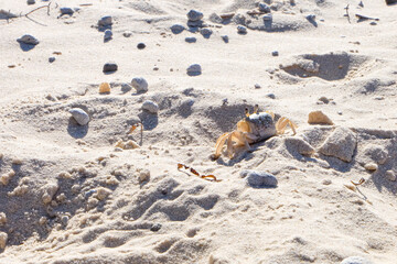 A beautiful sunny blue sky summer day at North Stradbroke island, Cleveland, Brisbane, Queensland, Australia