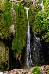 Obraz premium Serene waterfall cascading through mossy cliffs at Beli Izvorac, Serbia