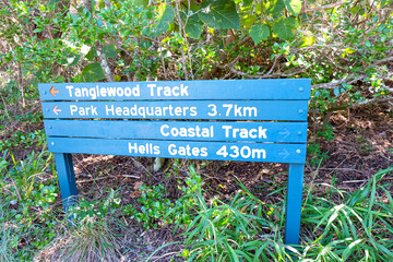Noosa National Park, Coastal Walk, hike along the stunning blue sea and ocean on a beautiful sunny blue sky day, Sunshine Coast, Australia 
