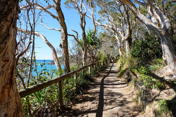 Noosa National Park, Coastal Walk, hike along the stunning blue sea and ocean on a beautiful sunny blue sky day, Sunshine Coast, Australia 