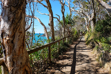 Noosa National Park, Coastal Walk, hike along the stunning blue sea and ocean on a beautiful sunny blue sky day, Sunshine Coast, Australia 