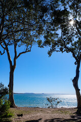Noosa National Park, Coastal Walk, hike along the stunning blue sea and ocean on a beautiful sunny blue sky day, Sunshine Coast, Australia 