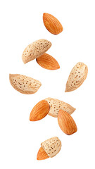 Falling Almond nut in shell isolated on white background, full depth of field