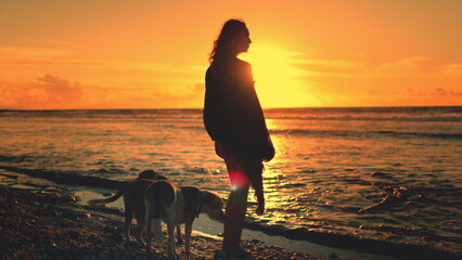 Woman is silhouetted against a golden sunset while walking her two dogs on the beach, enjoying the peace and beauty of nature