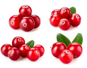 Set aus Preiselbeere, isoliert auf weißen Hintergrund, Freisteller