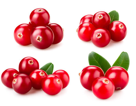 Set aus Preiselbeere, isoliert auf wei&szlig;en Hintergrund, Freisteller