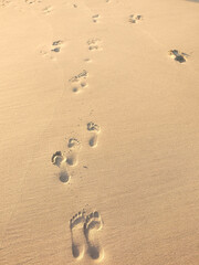 Nusa Penida Island, Bali, Indonesia - July 5, 2018: Cliff, coast and beach in Nusa Penida Island 