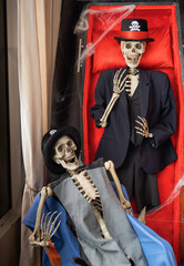 Two Human Skeletons in costume depicting a spooky Halloween scene. Perfect for Halloween...