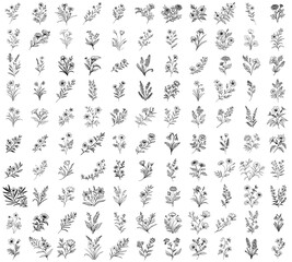 Hand drawn floral elements set, black shapes vector flowers doodle illustration