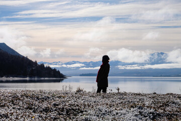 Road trip, Winter, Snowflake and frost over grass and wild flower, Lake Tekapo, Canterbury, New...