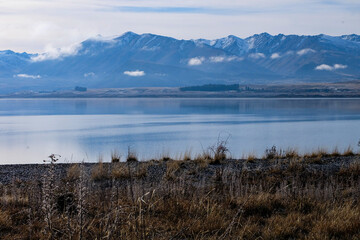 Road trip, Winter, Snowflake and frost over grass and wild flower, Lake Tekapo, Canterbury, New Zealand, South Island 