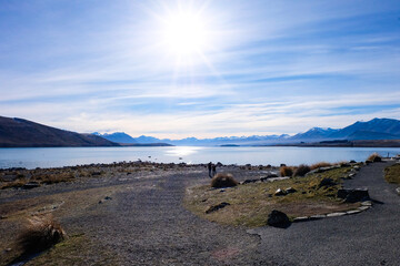 Road trip, Winter, Snowflake and frost over grass and wild flower, Lake Tekapo, Canterbury, New...